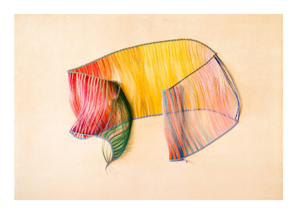 wall piece colored horsehair